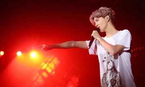 鹿晗演唱会陈赫爆料视频,陈赫意外爆料幕后趣事  第2张