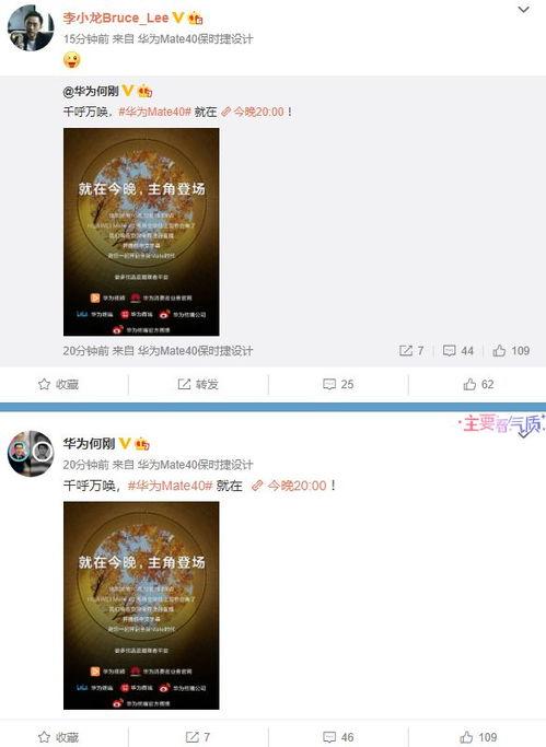 爆料小贝视频大全最新网站,最新网站爆料汇总  第1张