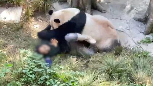 今日动物爆料最新消息,揭秘神秘生物新发现  第2张